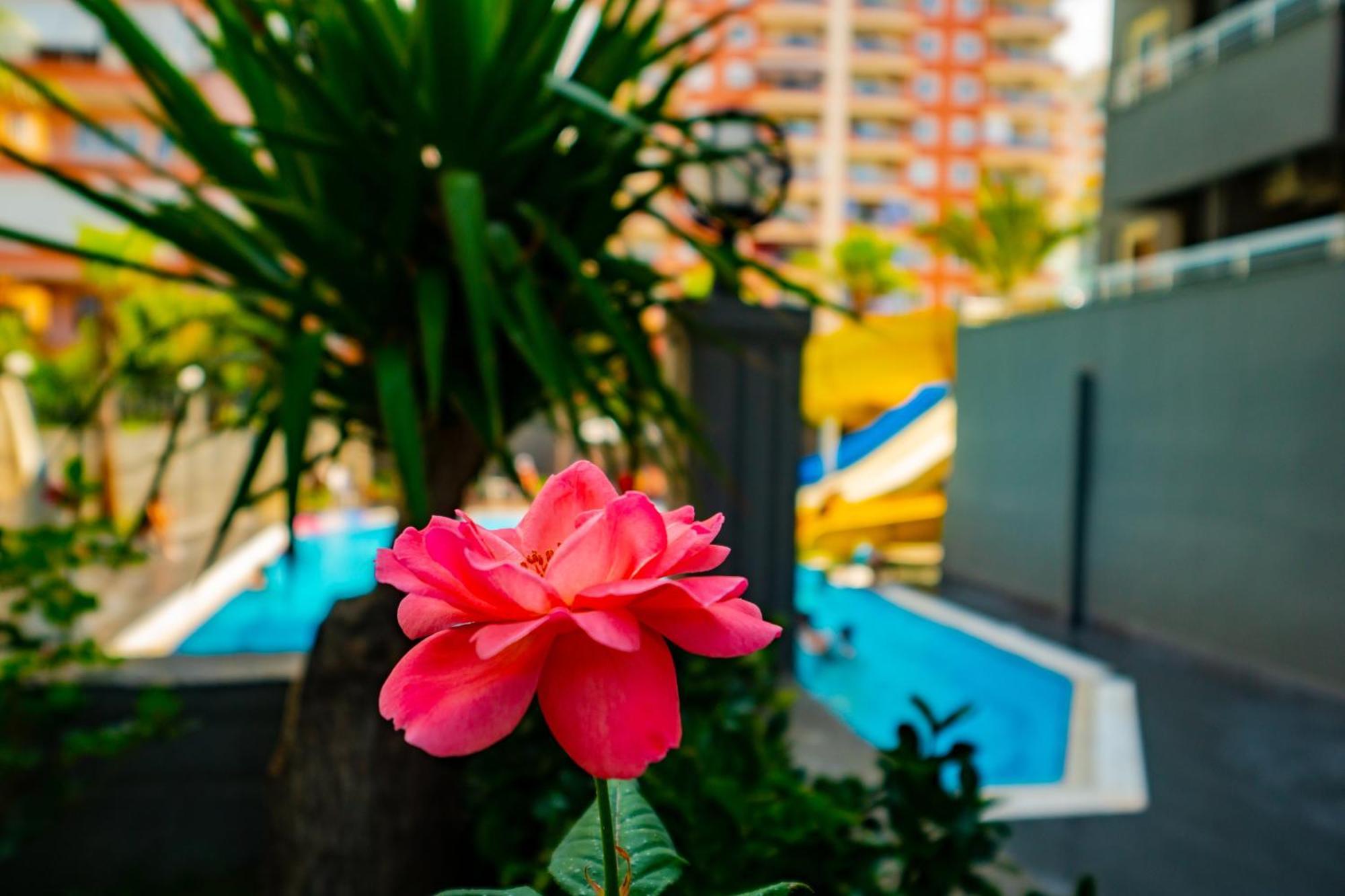 Senza Grand Santana Hotel Mahmutlar Extérieur photo